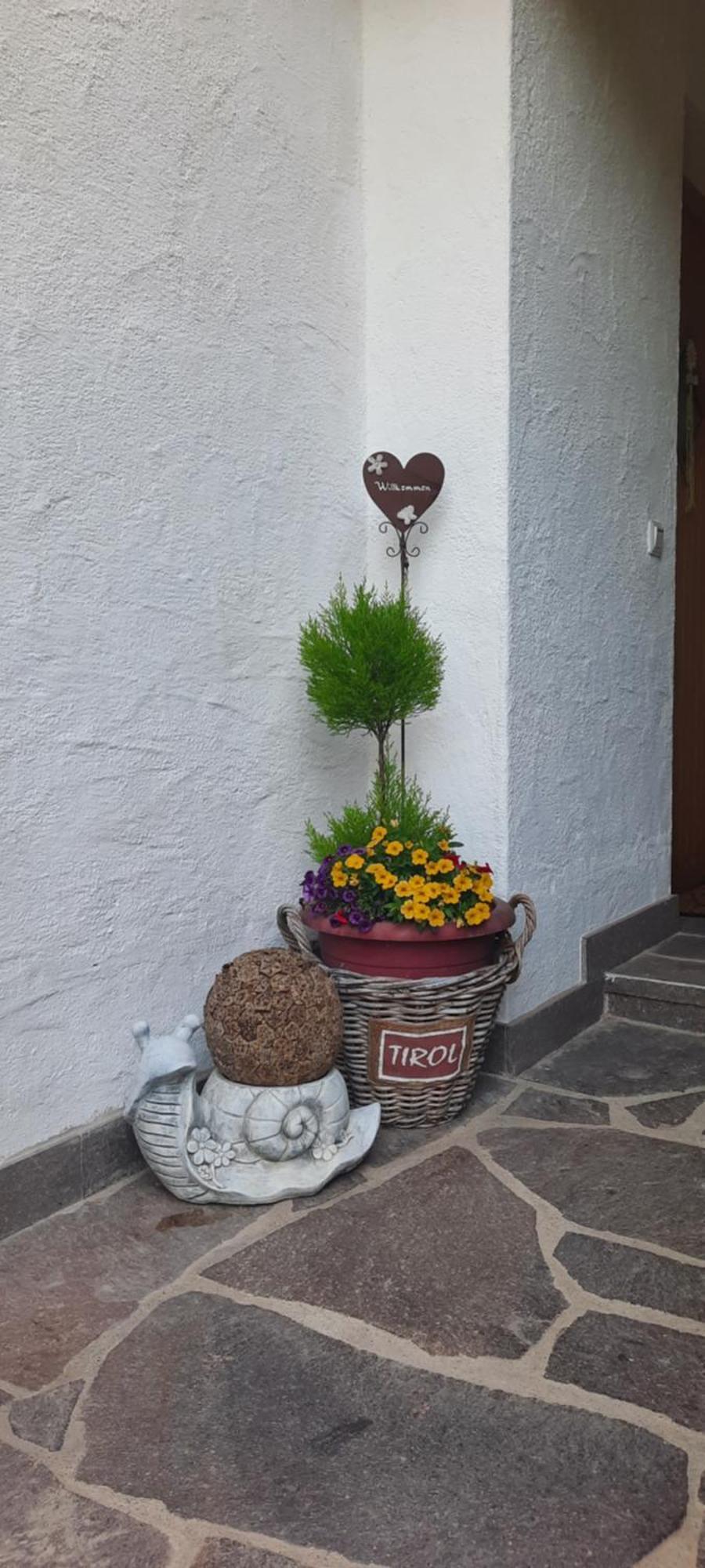 Appartement Margreiter Niederau Kültér fotó